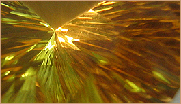 Kariem und Dorothea El Masry